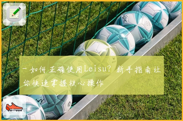 - 如何正确使用Leisu？新手指南让你快速掌握核心操作