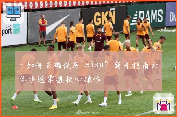 - 如何正确使用Leisu？新手指南让你快速掌握核心操作