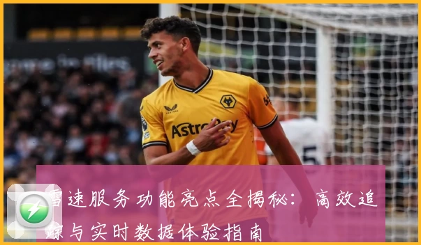 雷速服务功能亮点全揭秘：高效追踪与实时数据体验指南