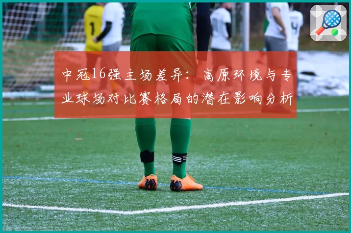 中冠16强主场差异：高原环境与专业球场对比赛格局的潜在影响分析